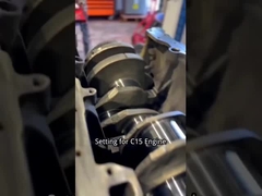 柴油エンジンのセットアップの設定 Cater C15